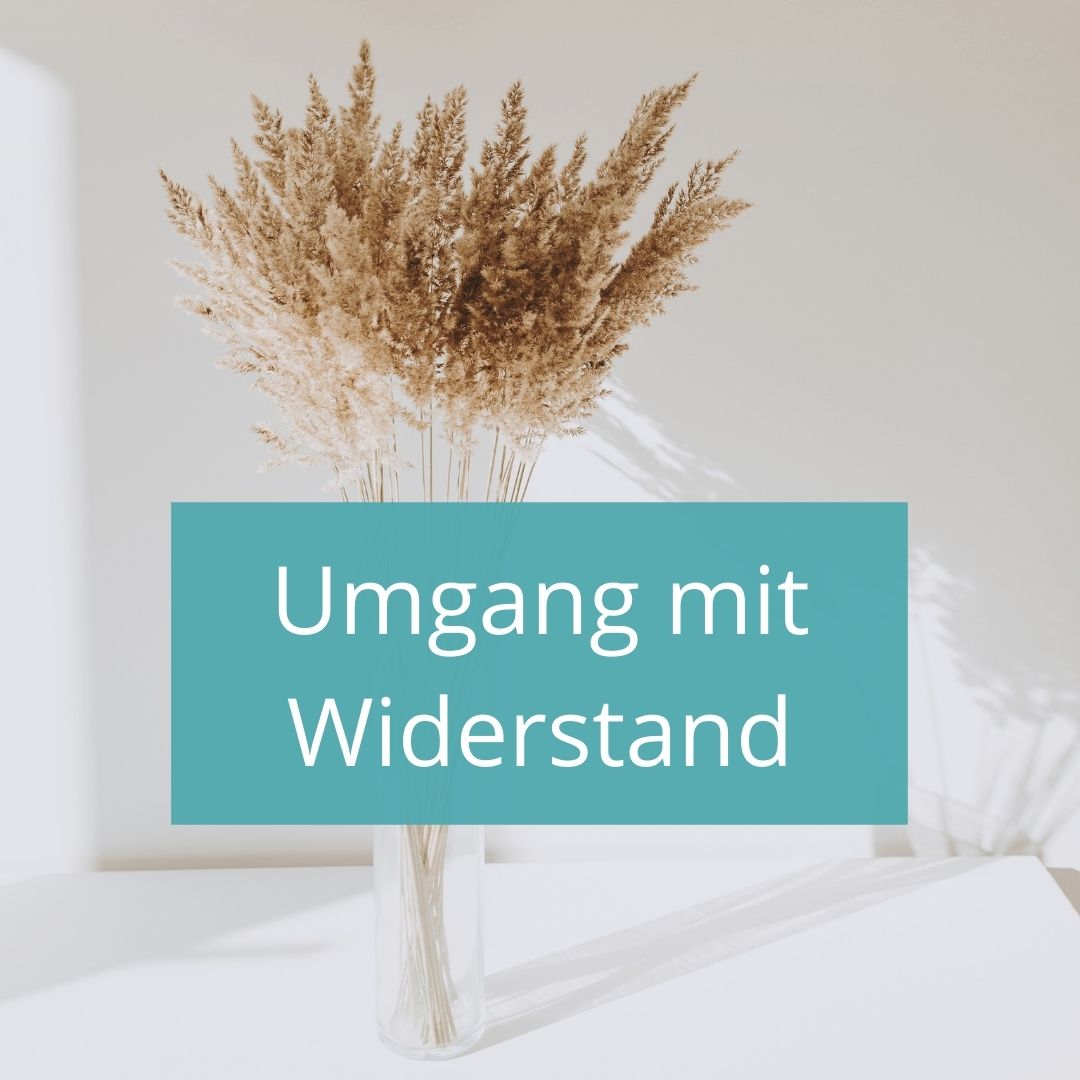 Widerstand begegnen