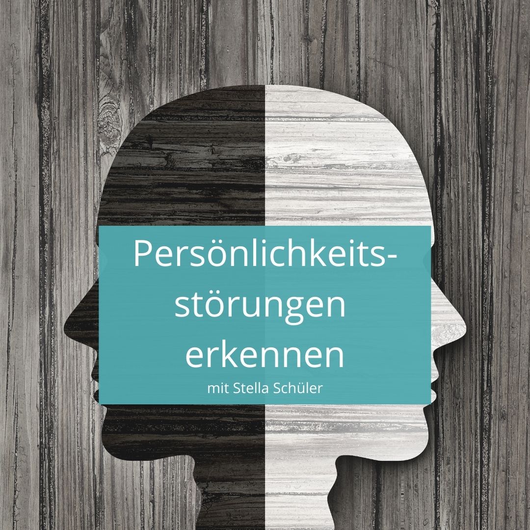 Störungen im Coaching erkennen