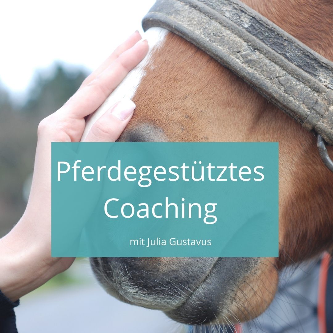 Coaching mit Pferden