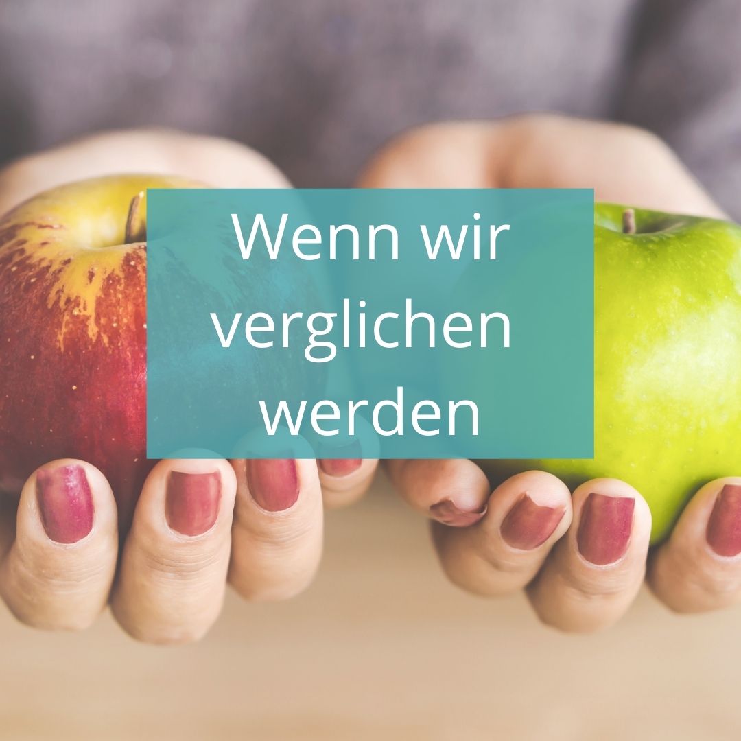 mit dem Vorgänger vergleichen